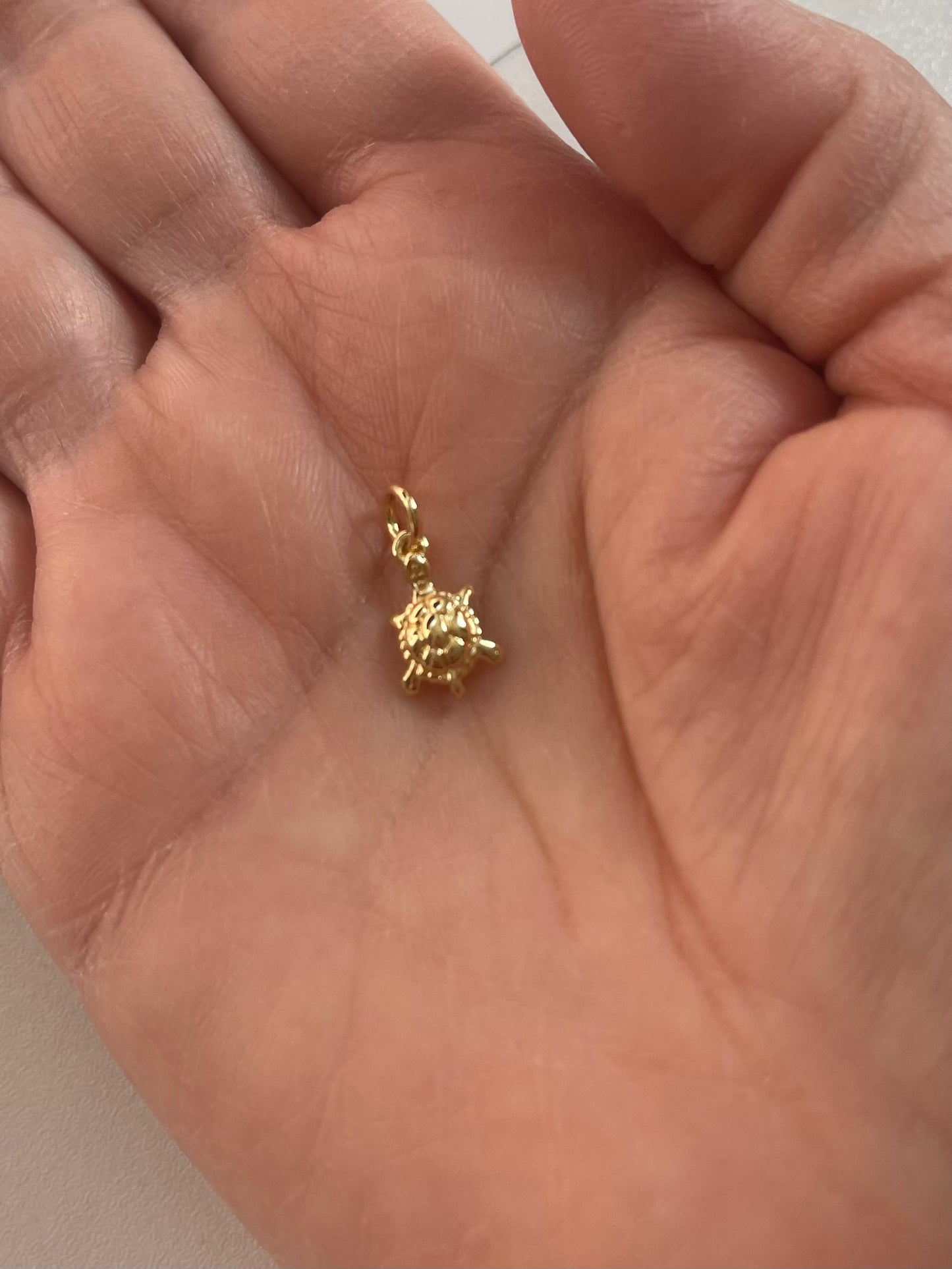 Turtle charm